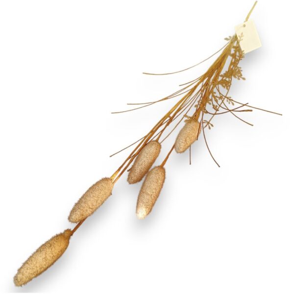 Штучний легарус нюд