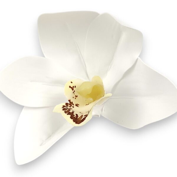 Цимбидіум білосніжний