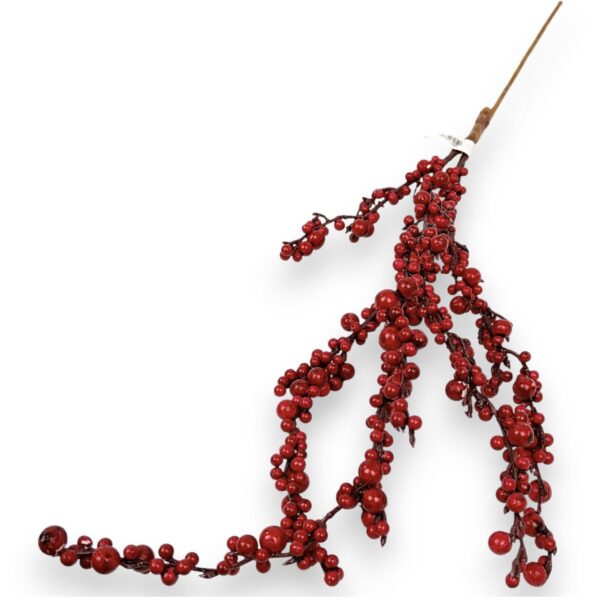 Калина червона польова