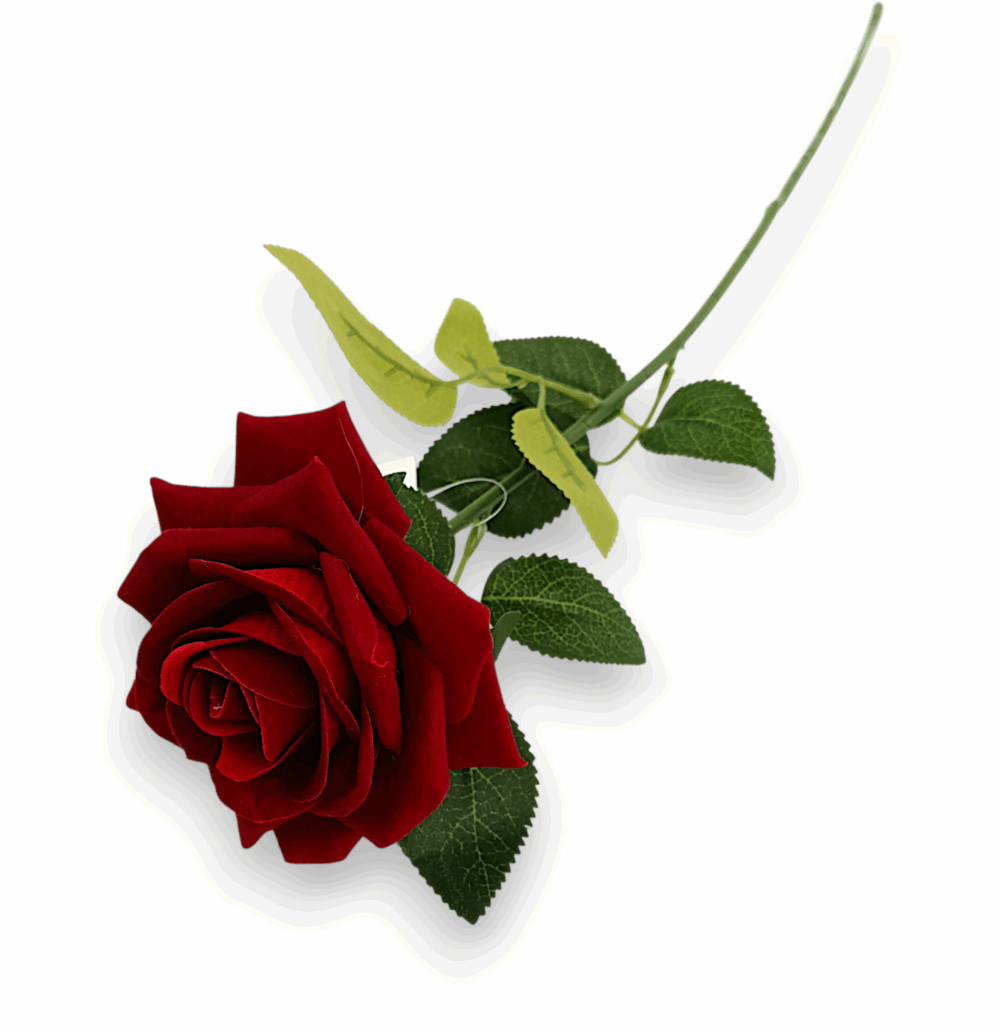 Оксамитова троянда бордо