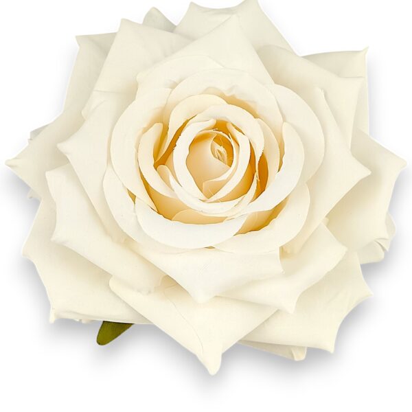 Гостролиста троянда