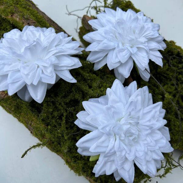 Жоржина біла