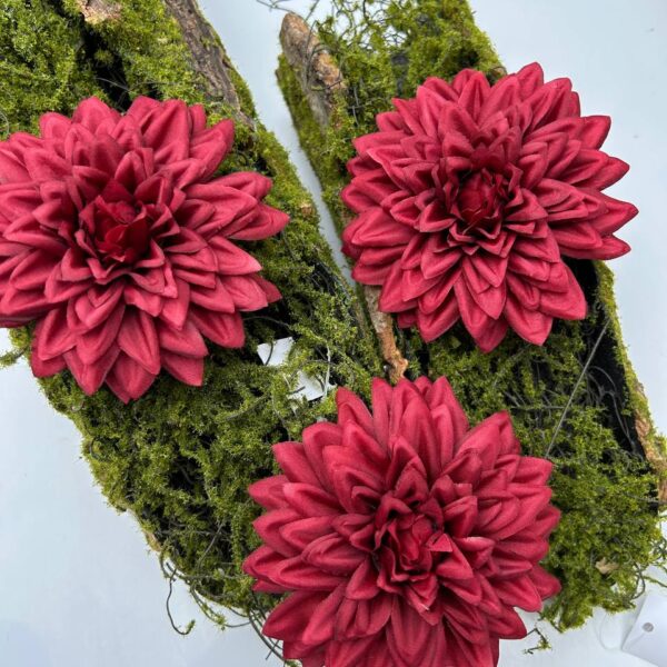 Жоржина бордо