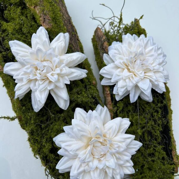 Жоржина айворі