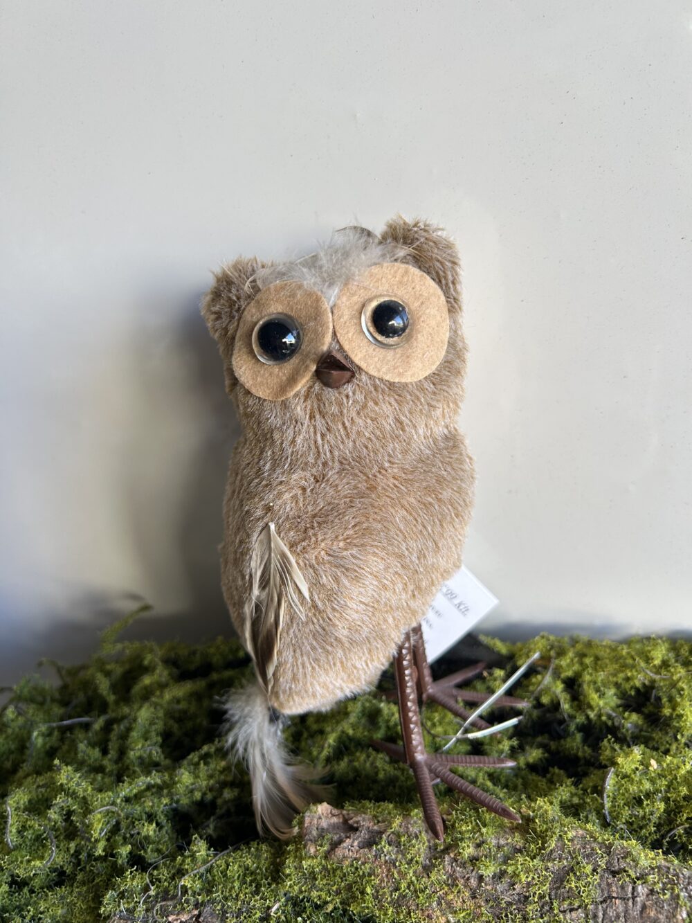 Лісова сова