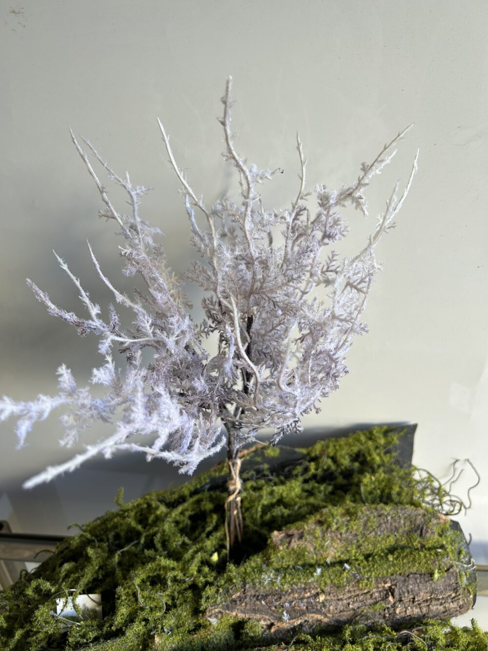 Гілка засніжена біла