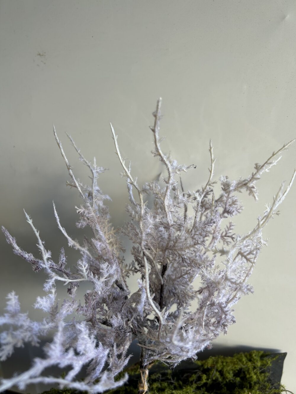Гілка засніжена біла - Зображення 2
