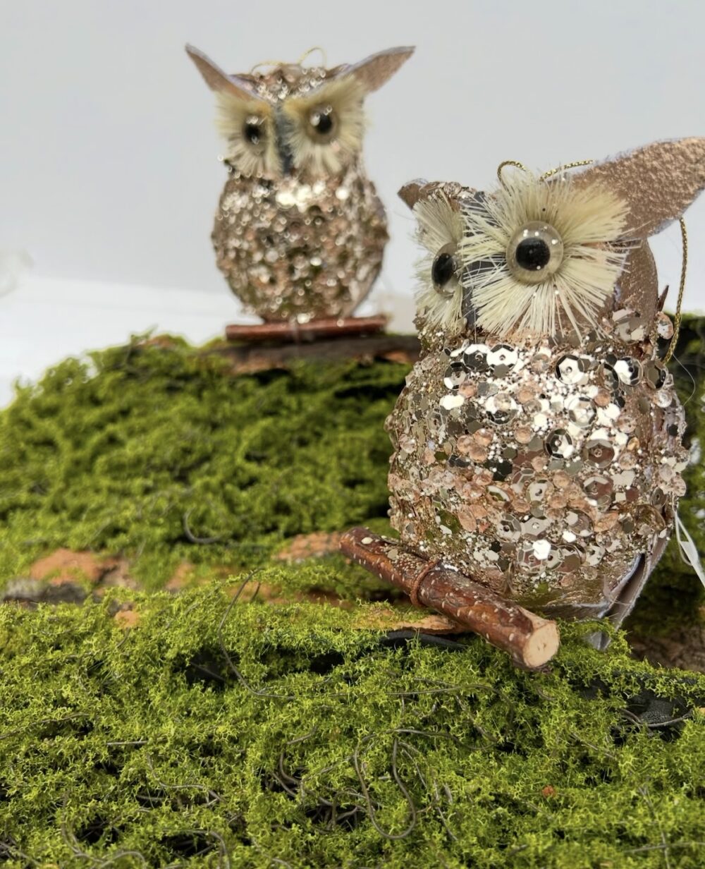 Сова глітерна