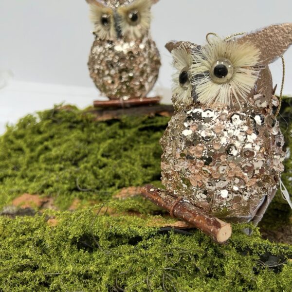 Сова глітерна