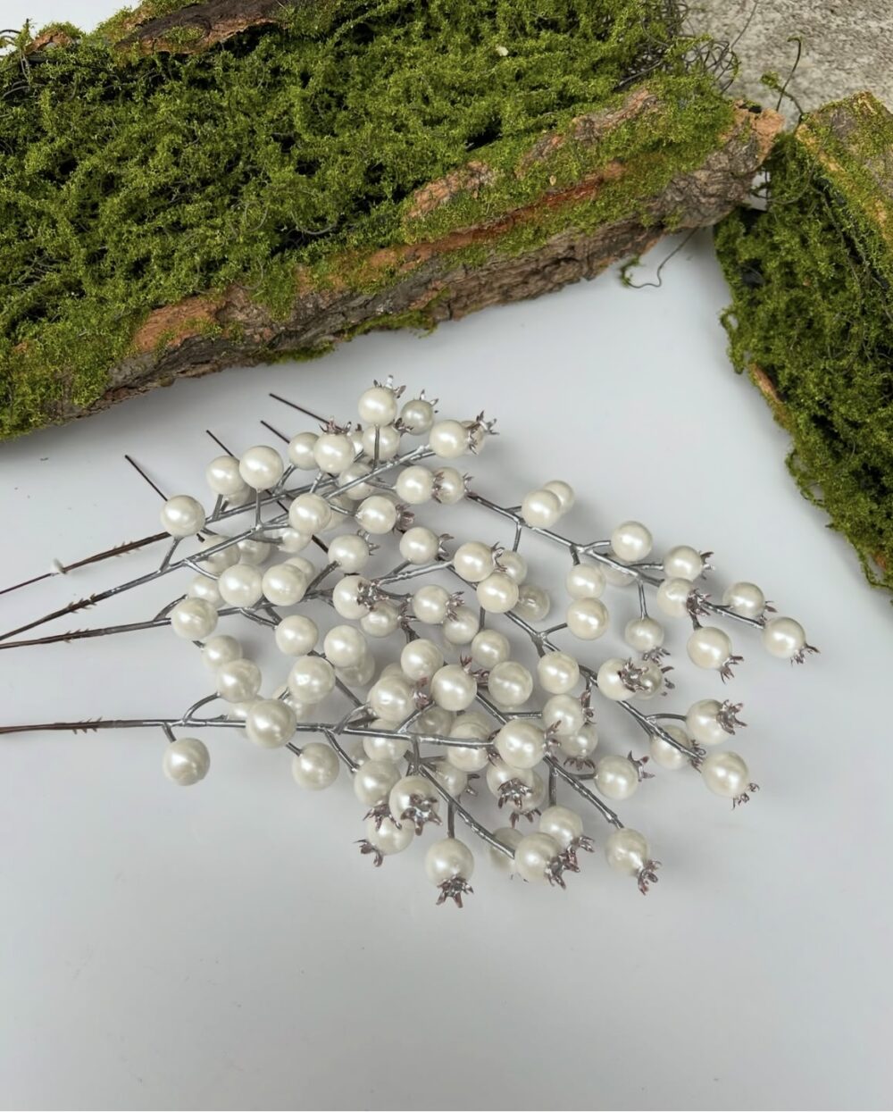 Шипшина біла