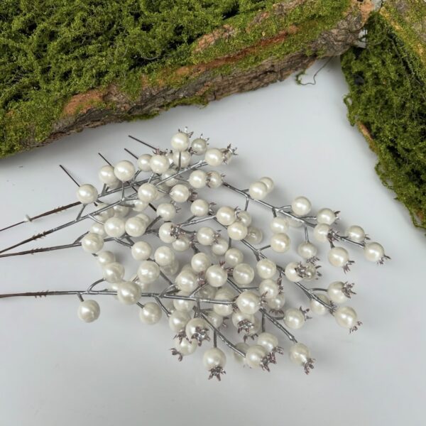 Шипшина біла