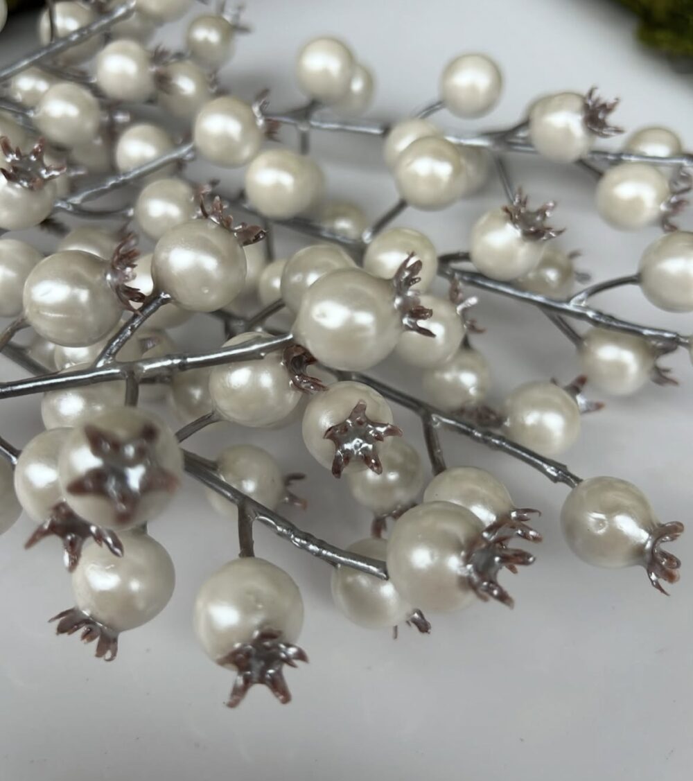 Шипшина біла - Зображення 2