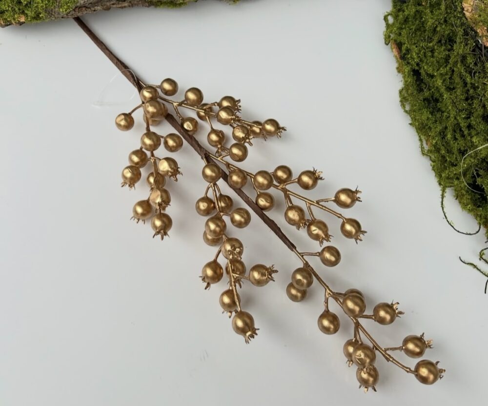 Шипшина золота