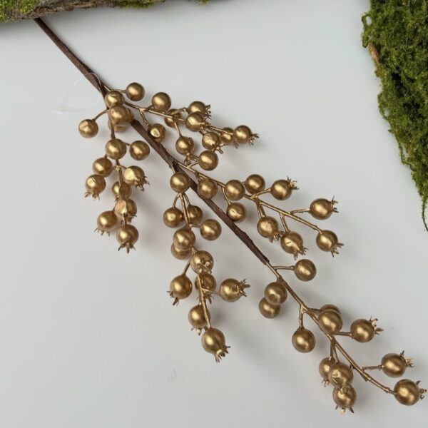 Шипшина золота