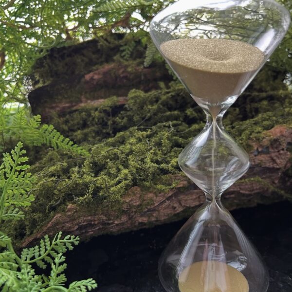 Сипучий годинник