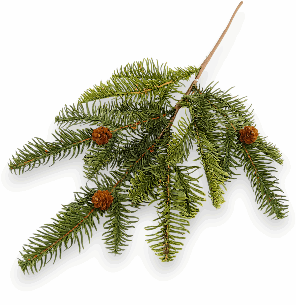 Хвоя Real Touch з шишкою