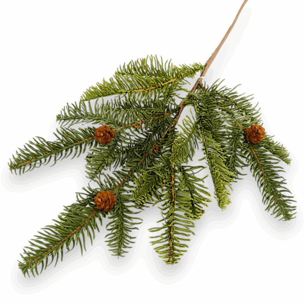 Хвоя Real Touch з шишкою