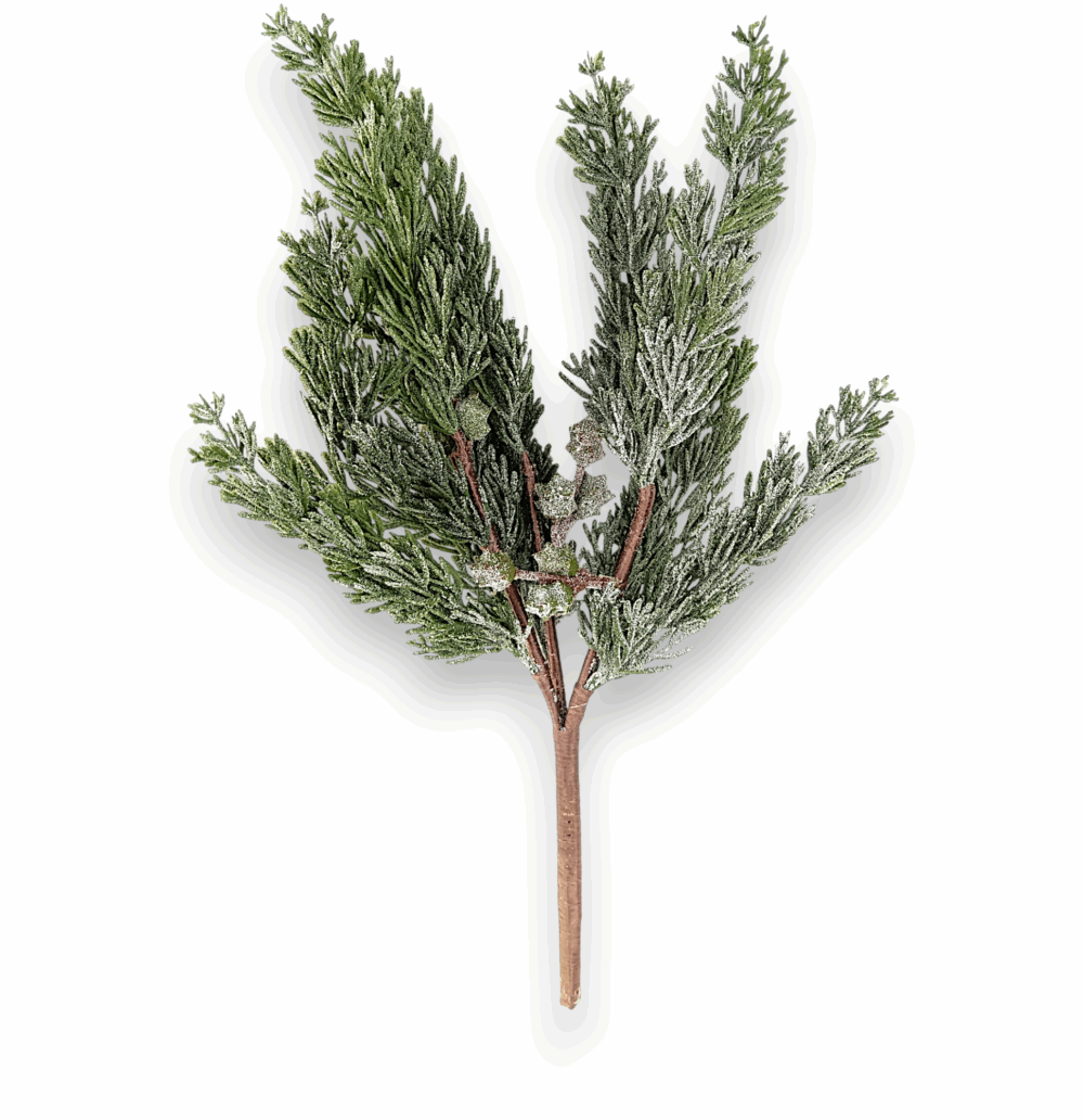 Туя Real Touch з плодами - Зображення 2