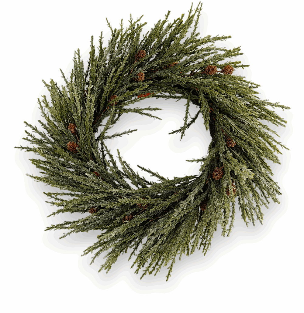 Туя Real Touch з шишками віночок