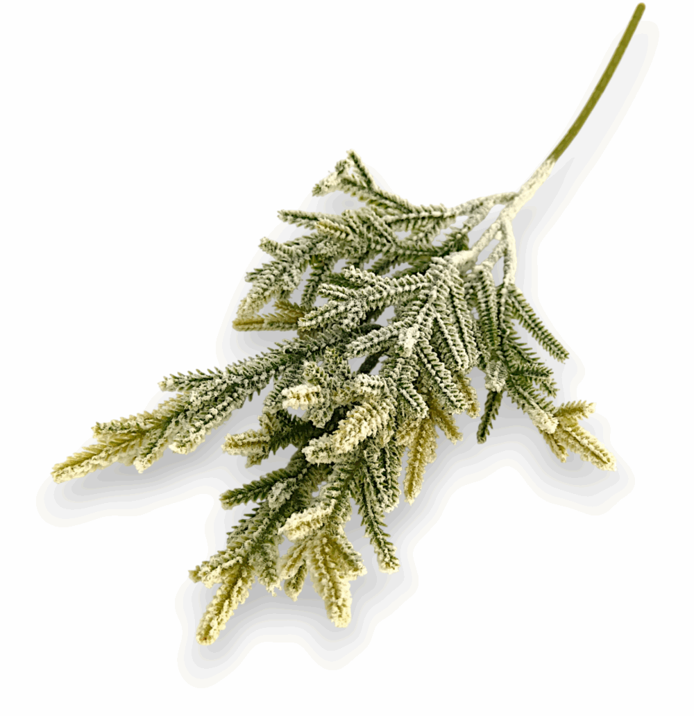 Хвойна гілка засніжена