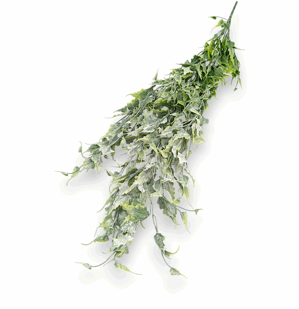 Зимова ліана