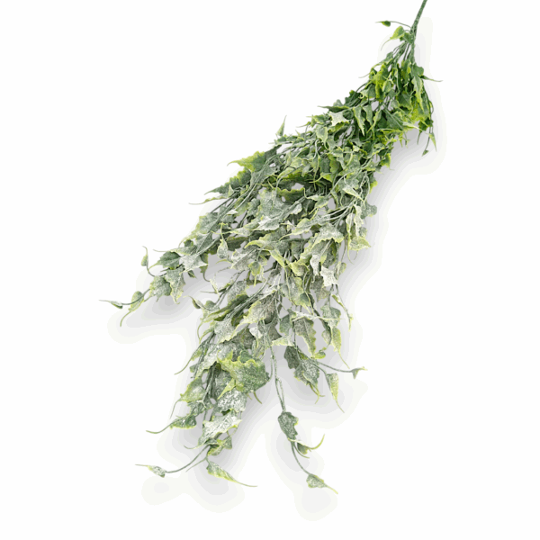 Зимова ліана