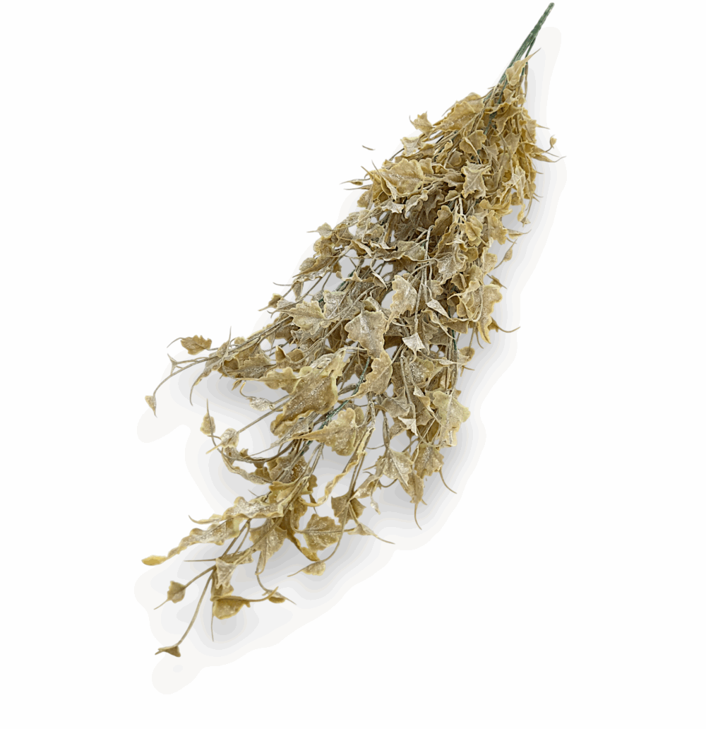 Зимова ліана