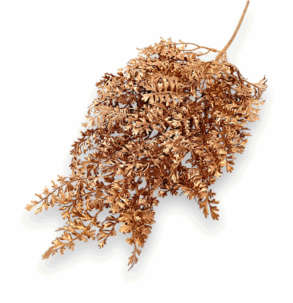 Хвоя золота насичена декоративна