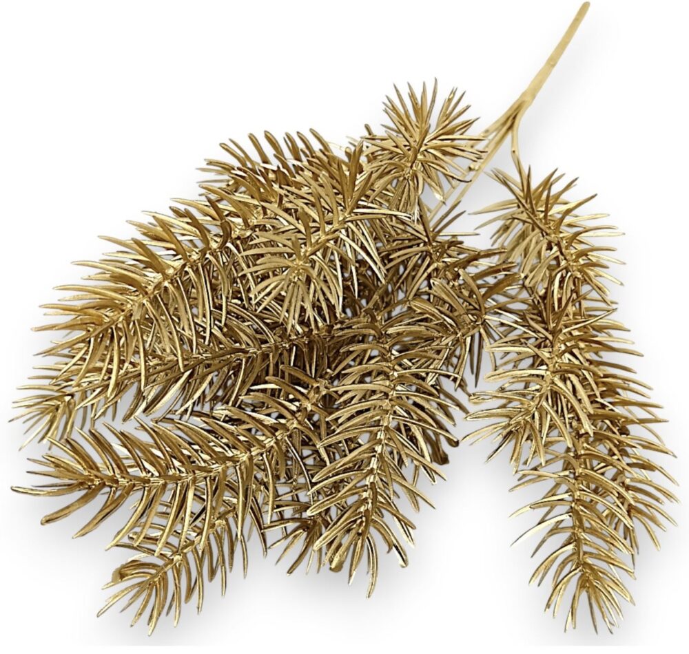 Хвоя золота