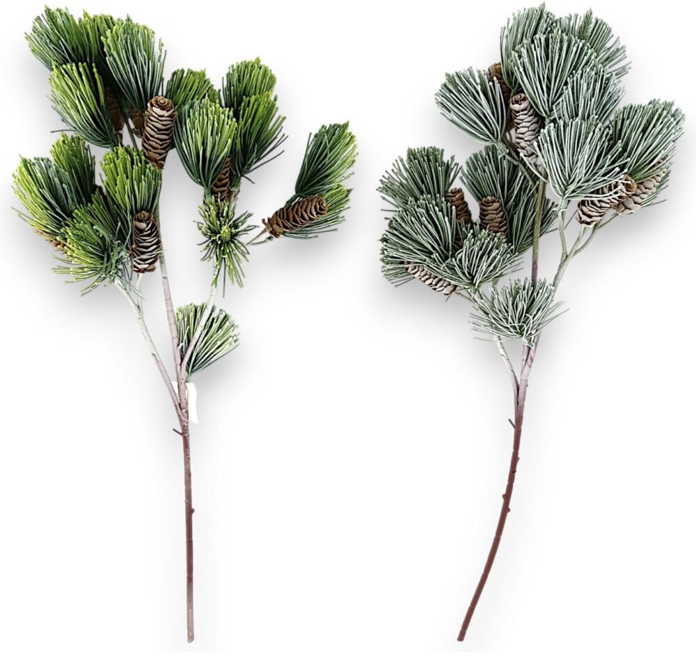 Хвойна гілка з шишками - Зображення 2