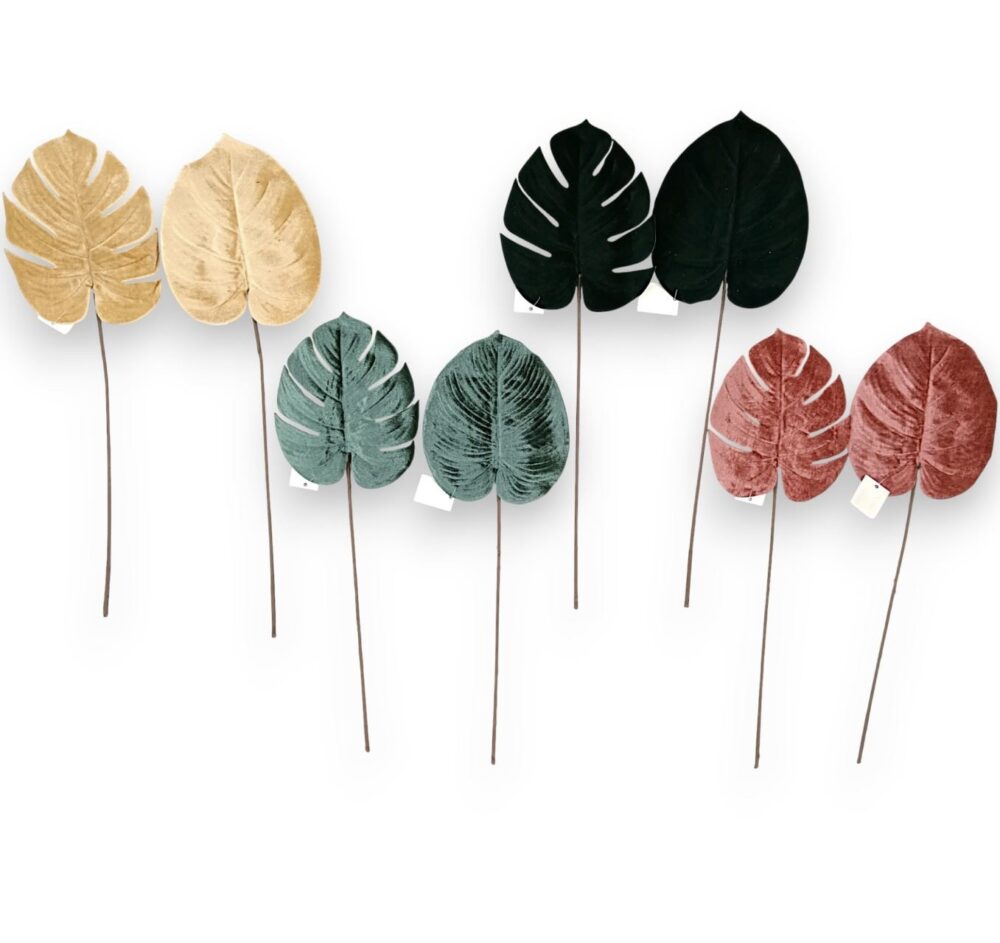 Монстера бархатна рожева - Зображення 2