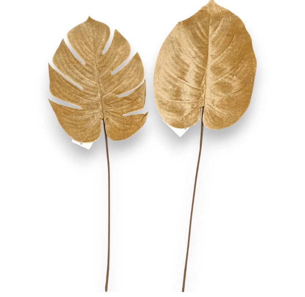 Монстера бархатна крем