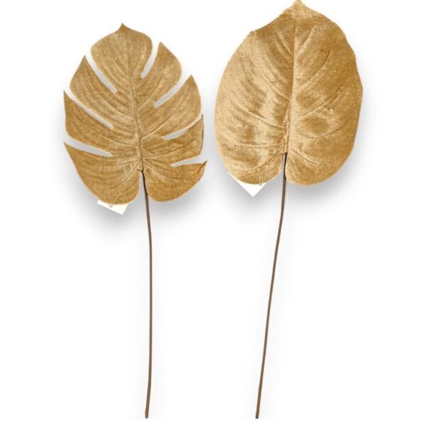 Монстера бархатна крем