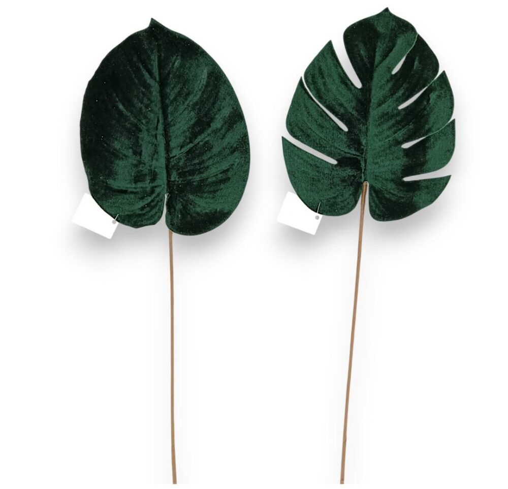 Монстера бархатна ізумрудна