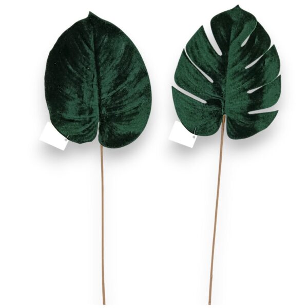 Монстера бархатна ізумрудна