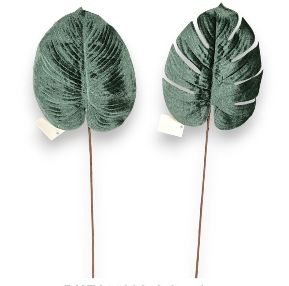 Монстера бархатна зелена