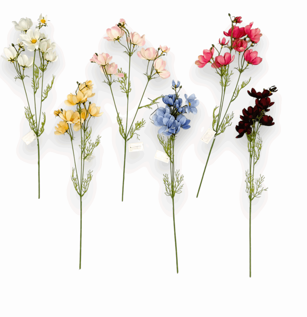 Ехінація декоративна біла - Зображення 2