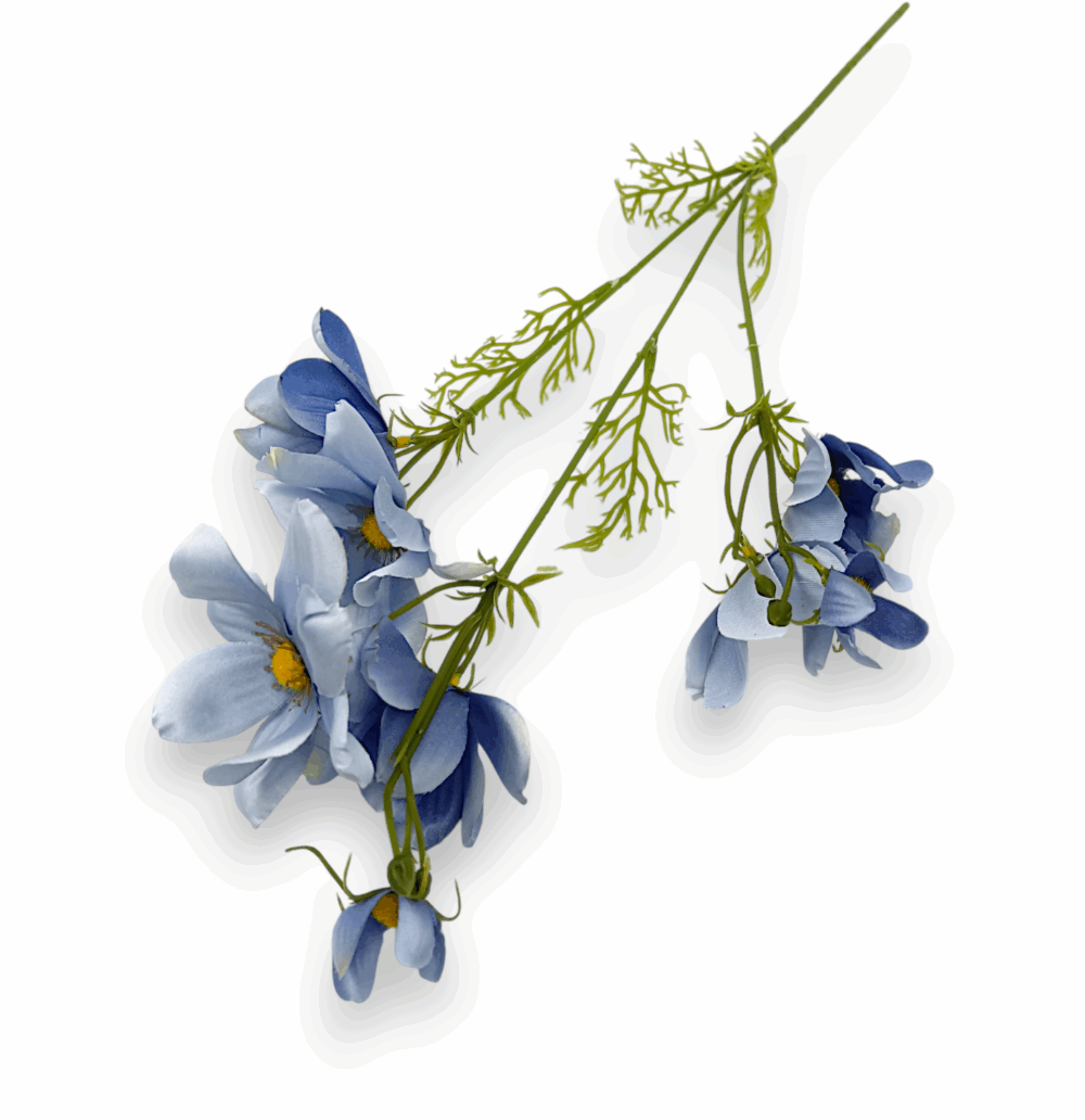 Ехінація декоративна голуба