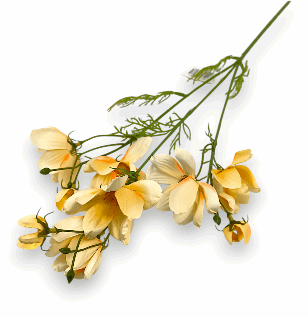 Ехінація декоративна жовта