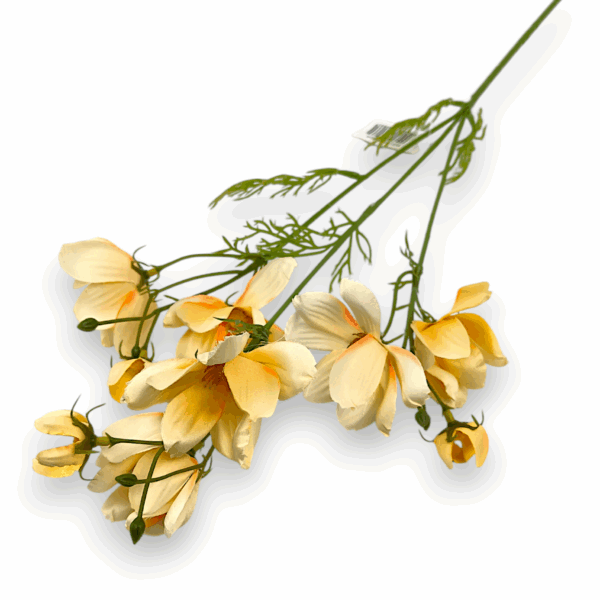 Ехінація декоративна жовта