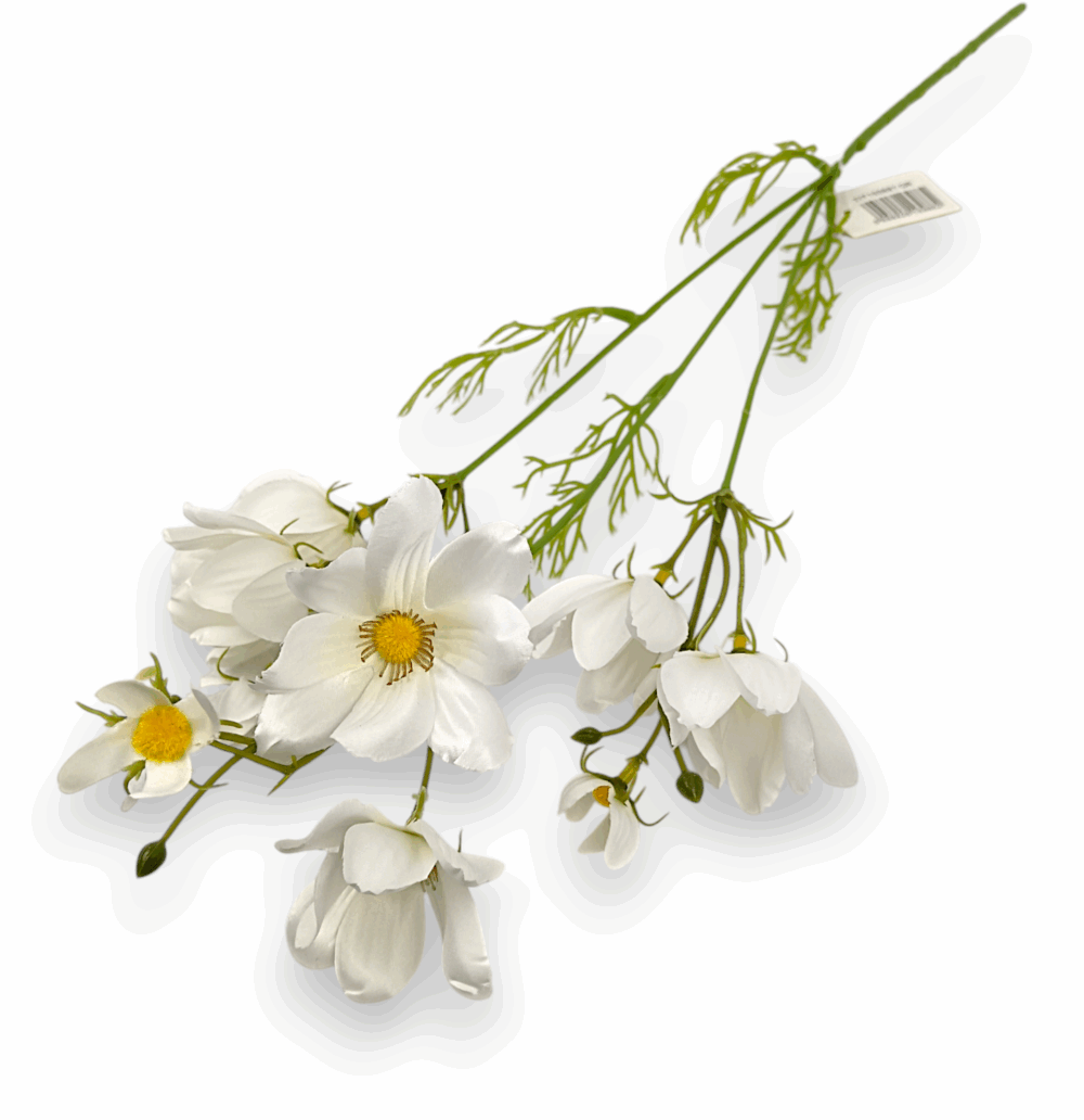 Ехінація декоративна біла