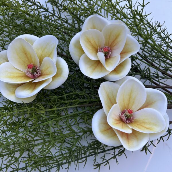 Штучна магнолія жовта