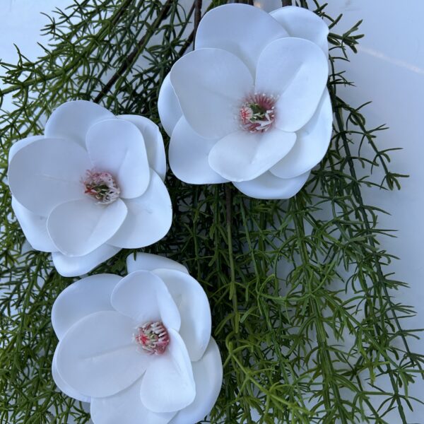 Штучна магнолія біла