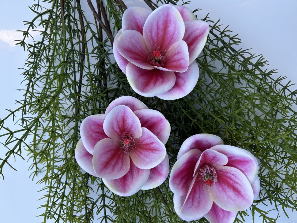 Магнолія гелева малинова