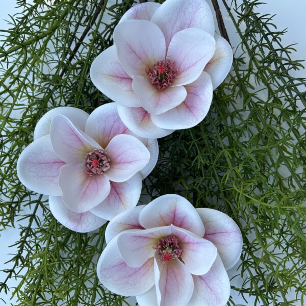 Штучна магнолія рожева