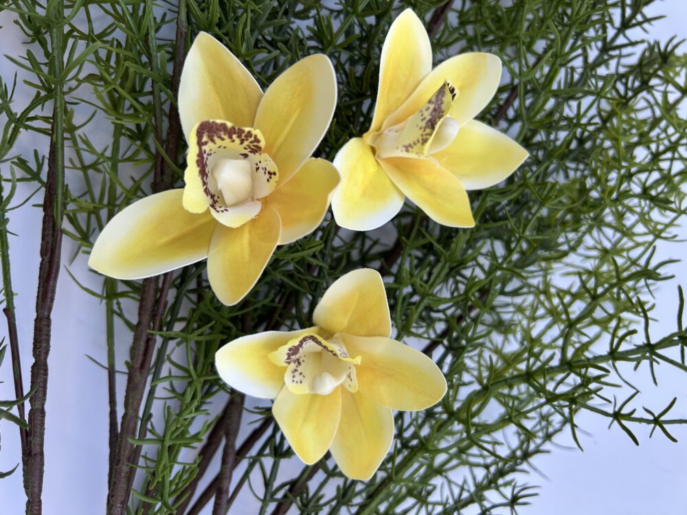 Цимбидіум жовтий