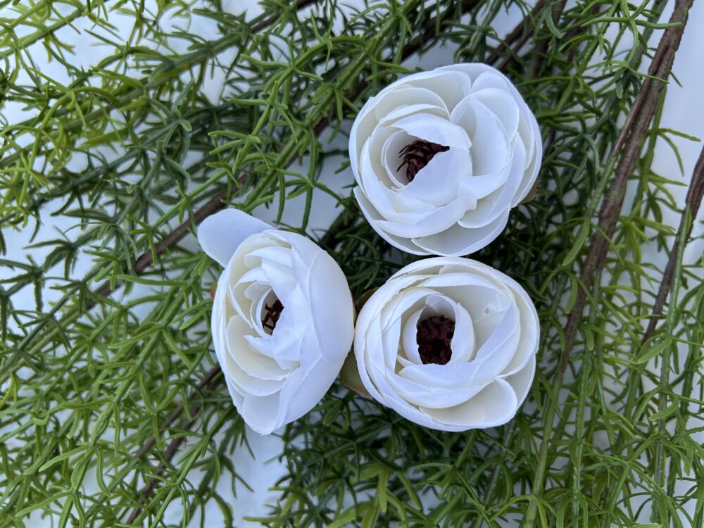 Ронункулюс білий