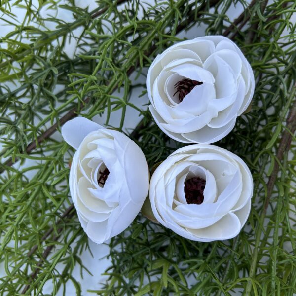 Ронункулюс білий