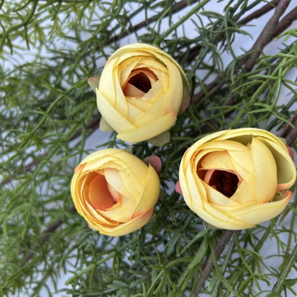 Ронункулюс жовтий