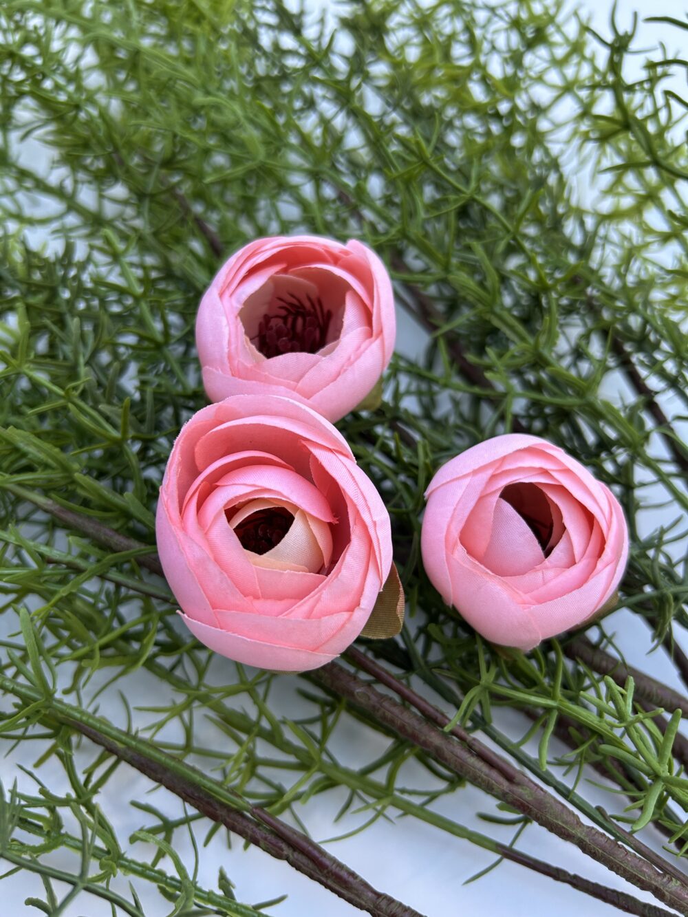 Ронункулюс рожевий